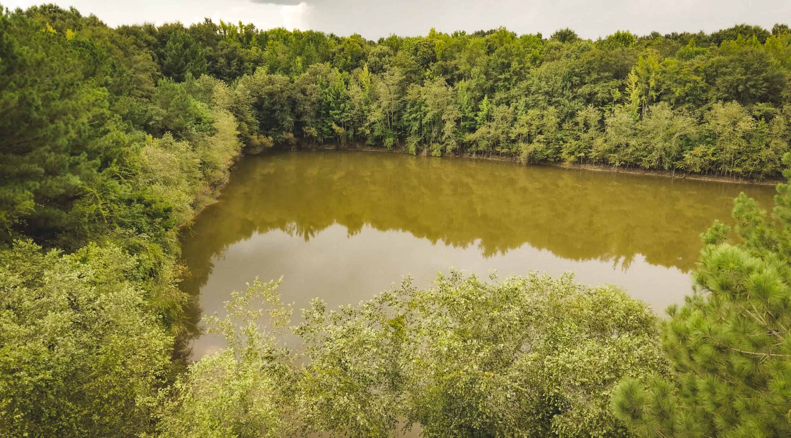 River Trails 127 | 127 Acres | Montezuma, GA